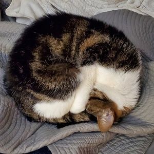 Meet your Posher, Louann